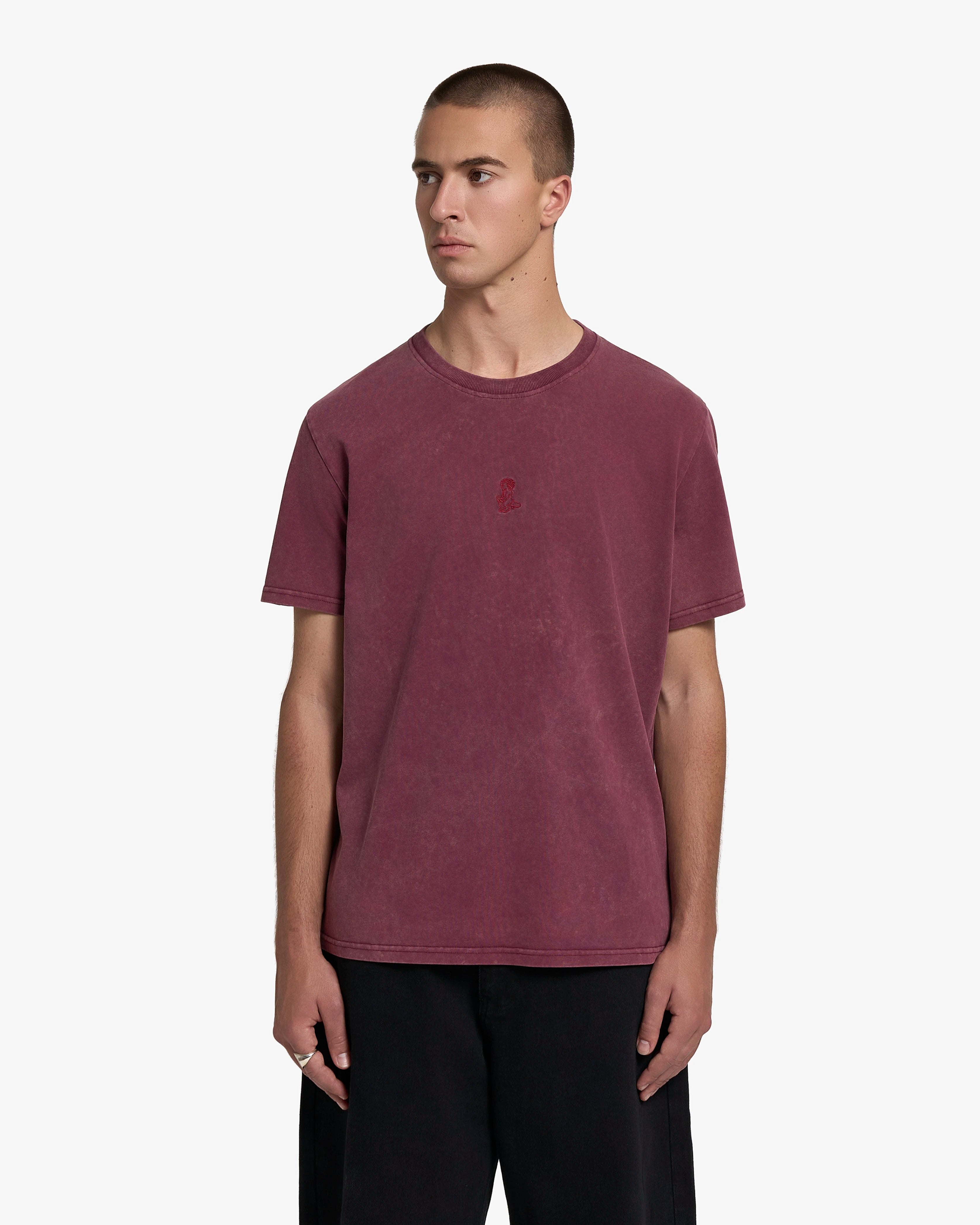 Big Ikon Washed T-Shirt