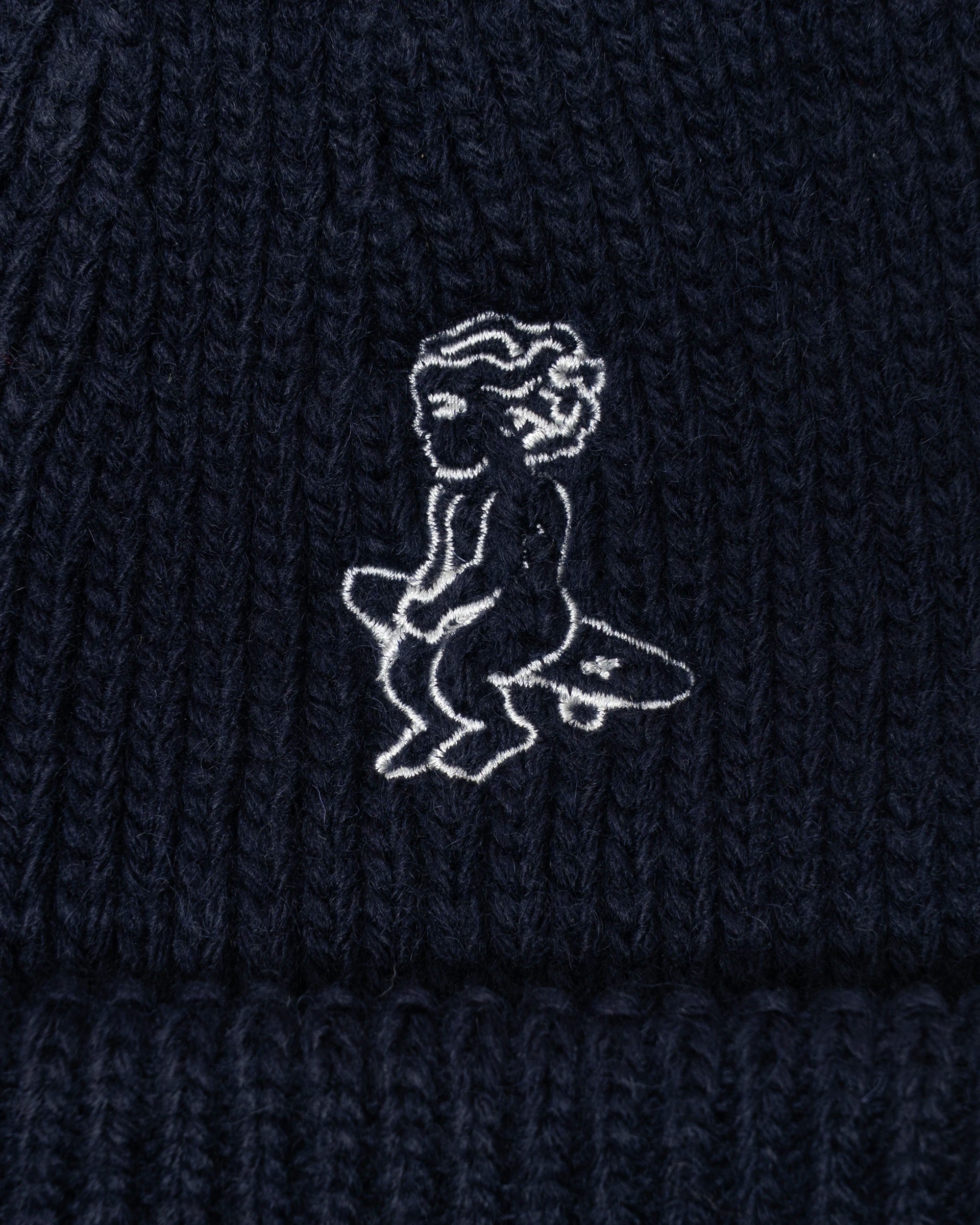 #color_navy
