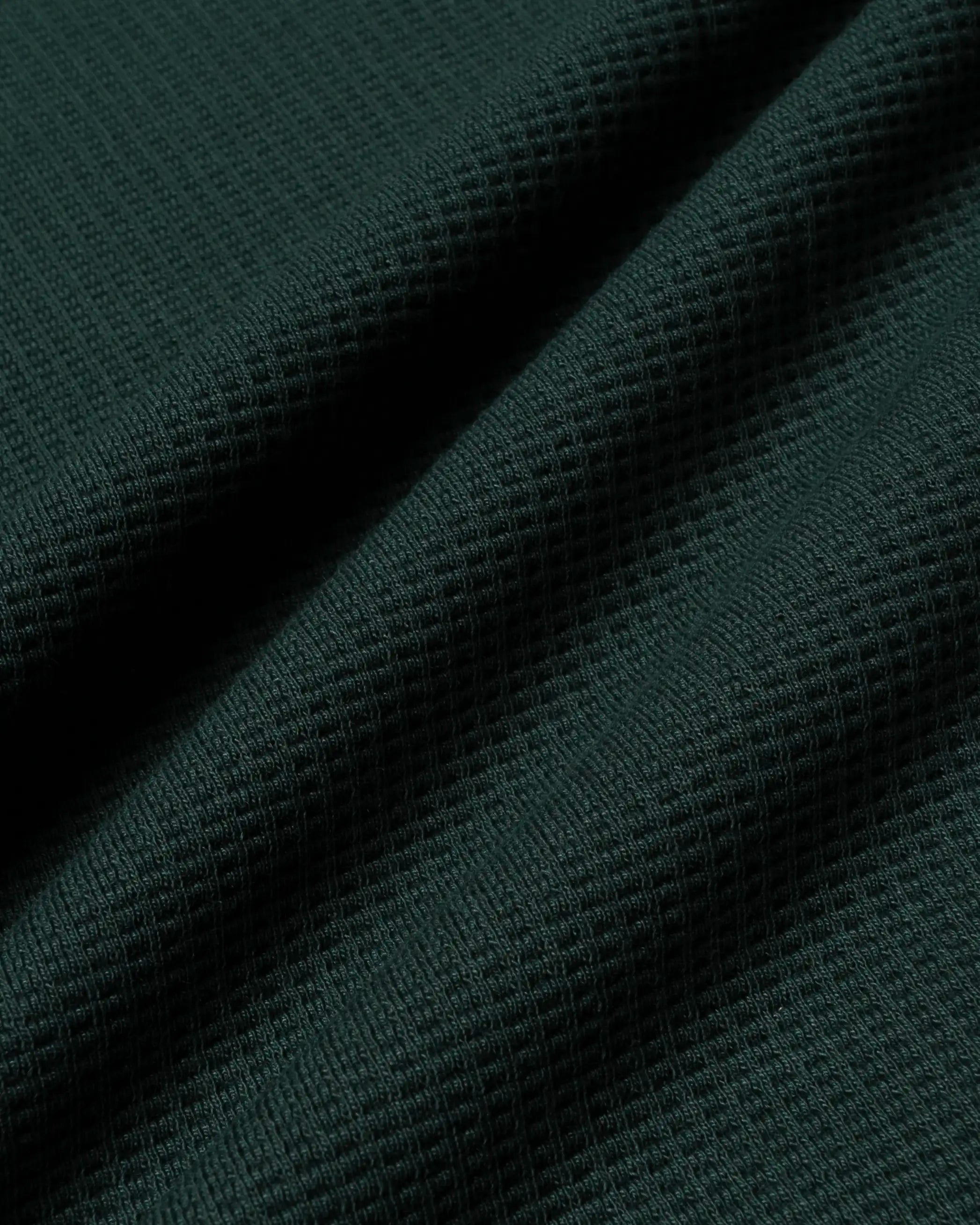 Alameda Polo