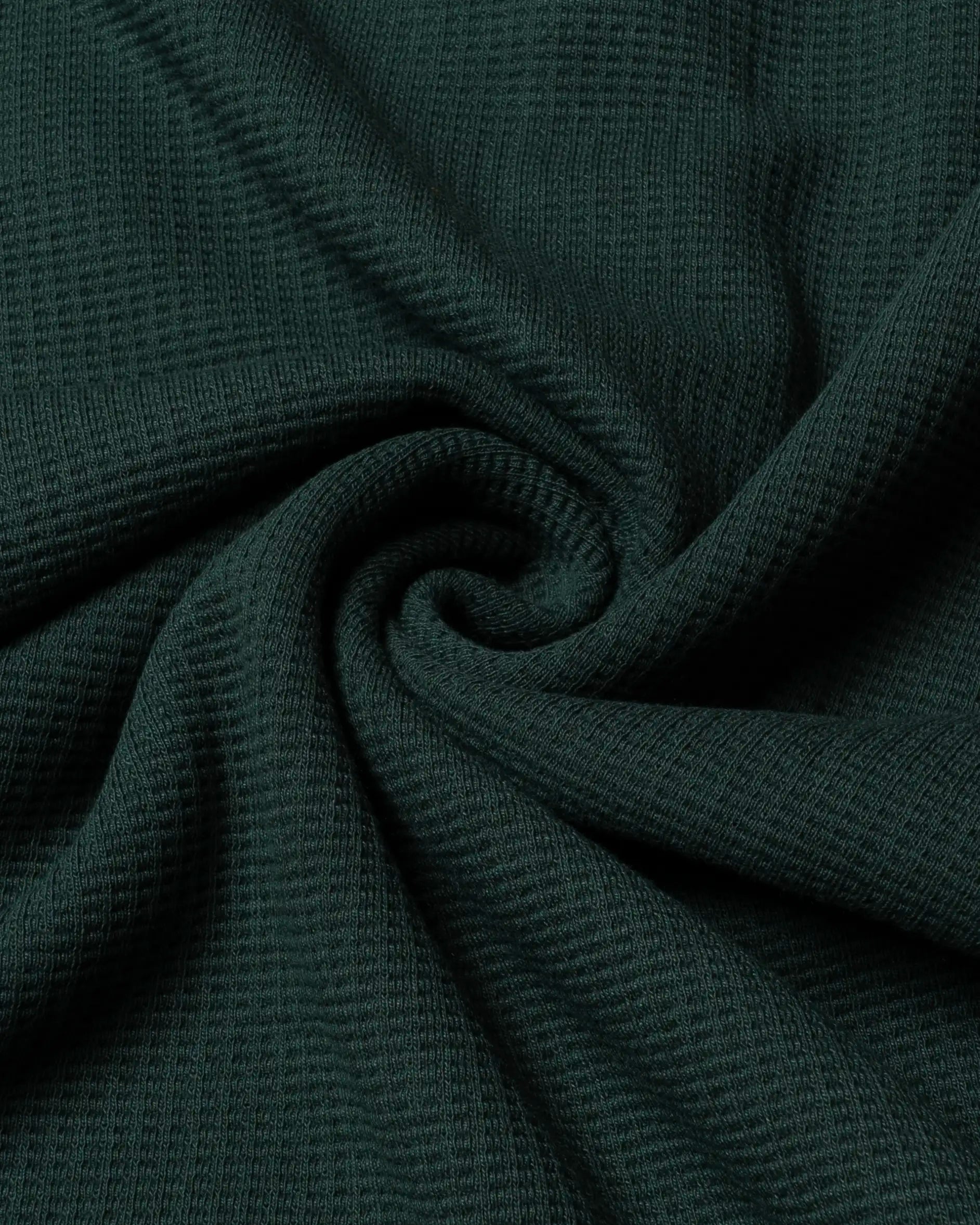 Alameda Polo