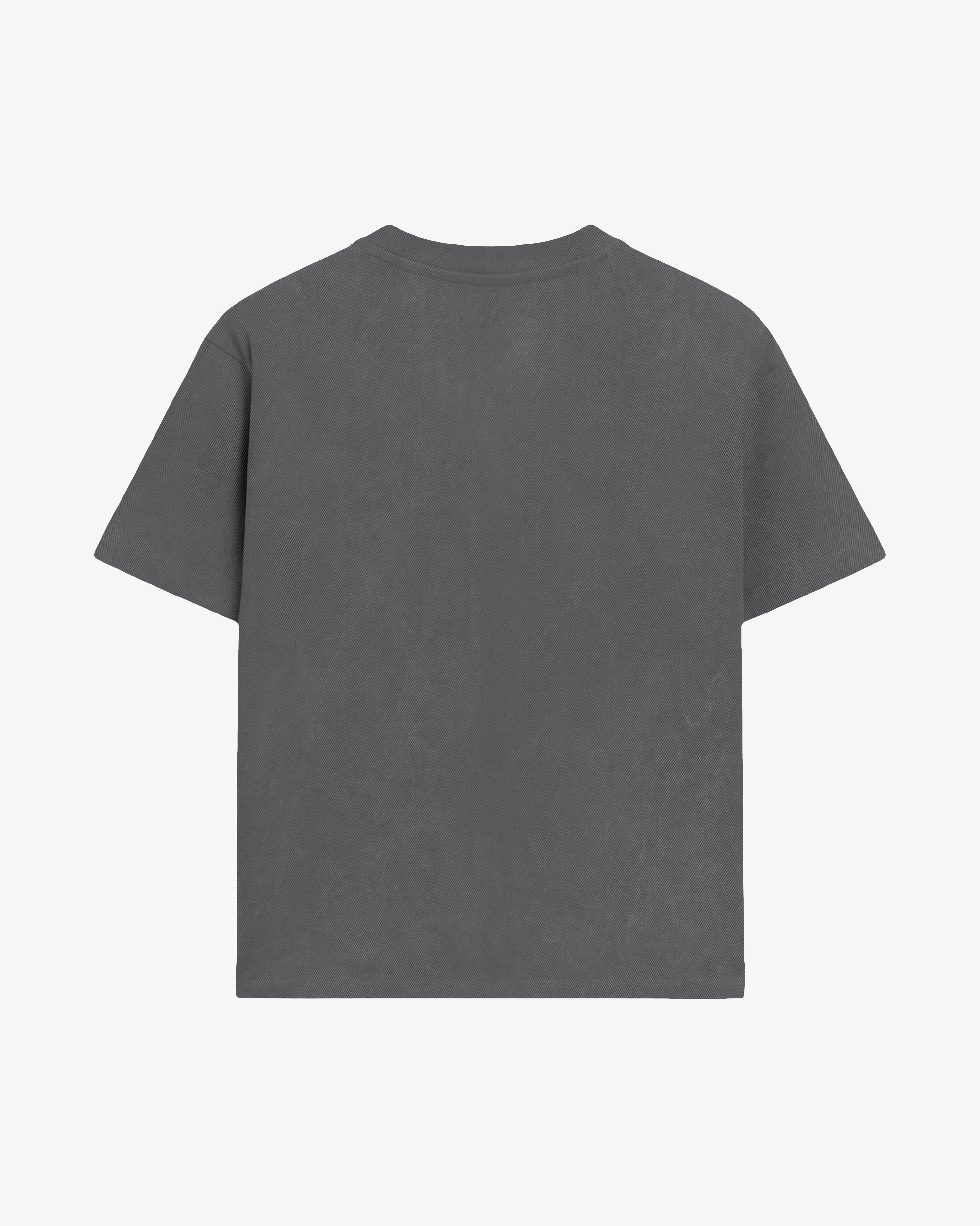 Ikon Washed T-Shirt