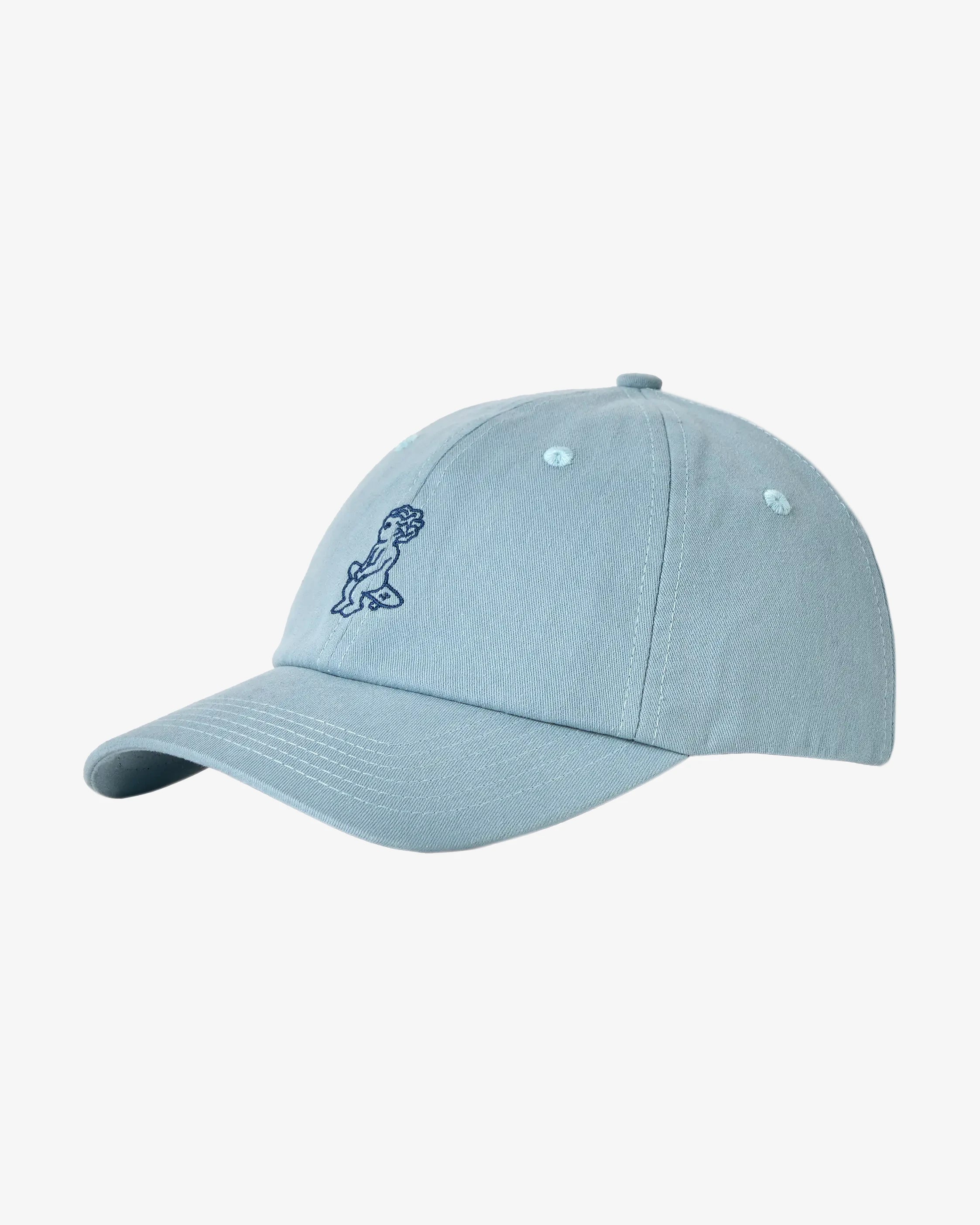Ikon Cotton Cap