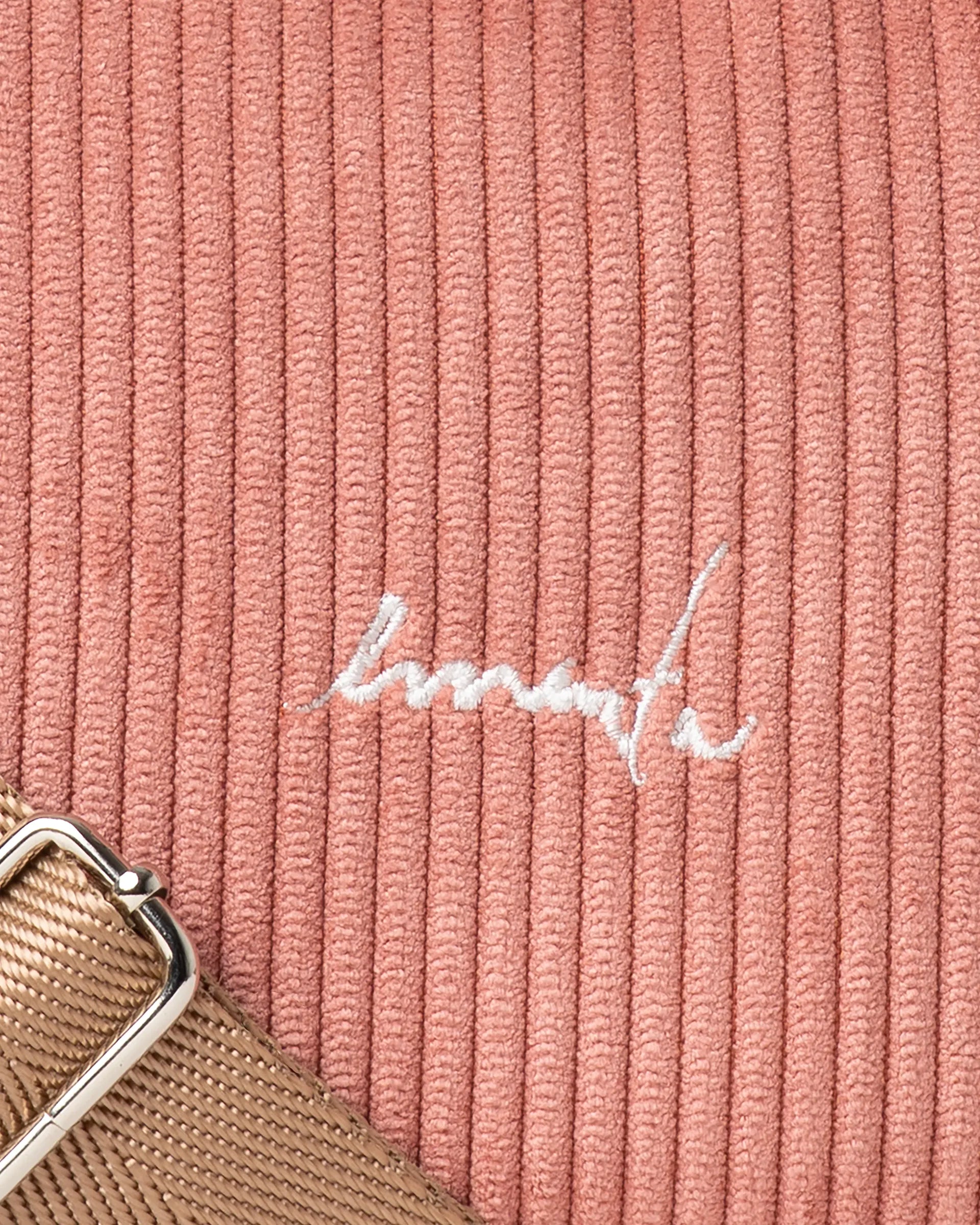 #color_salmon