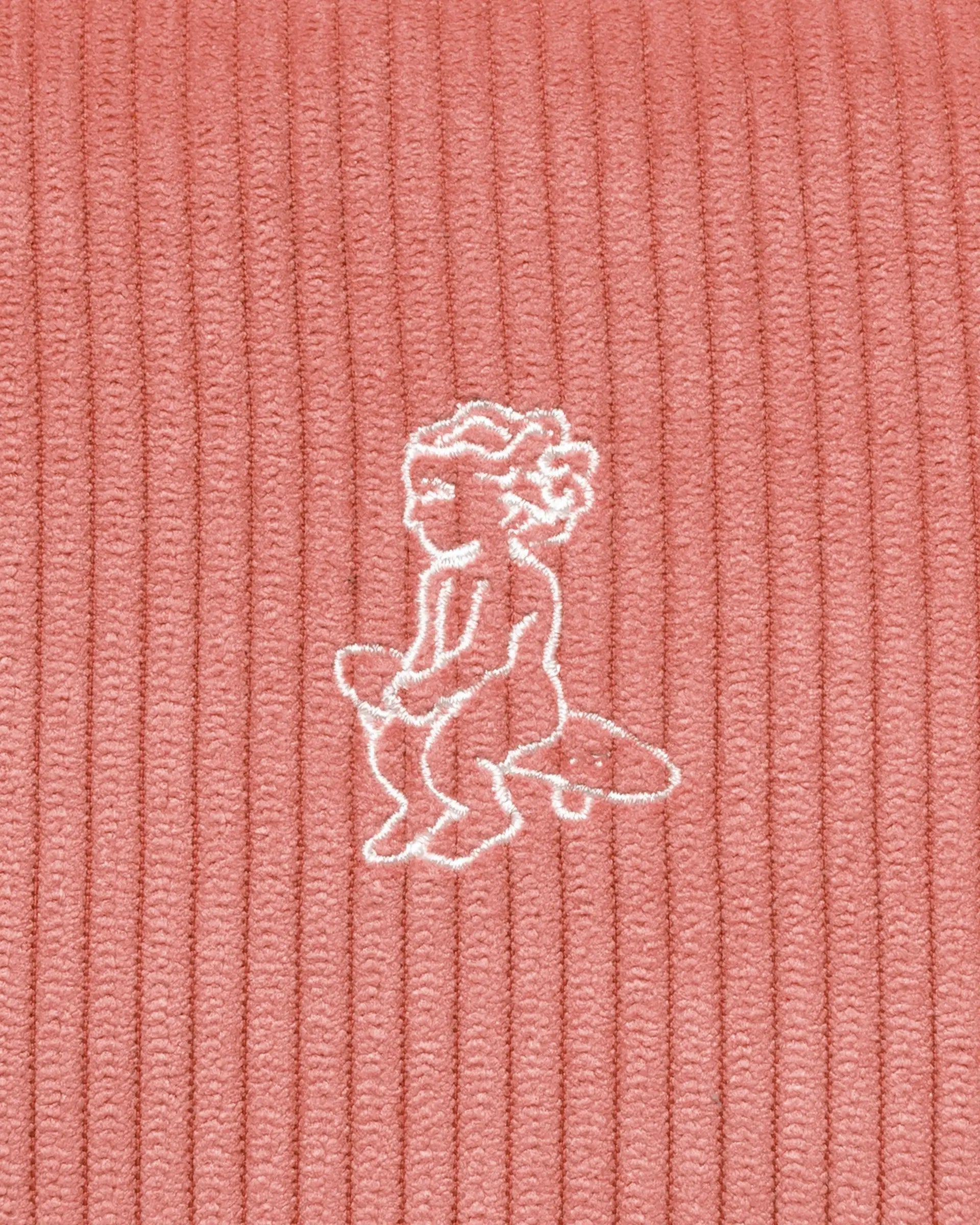 #color_salmon