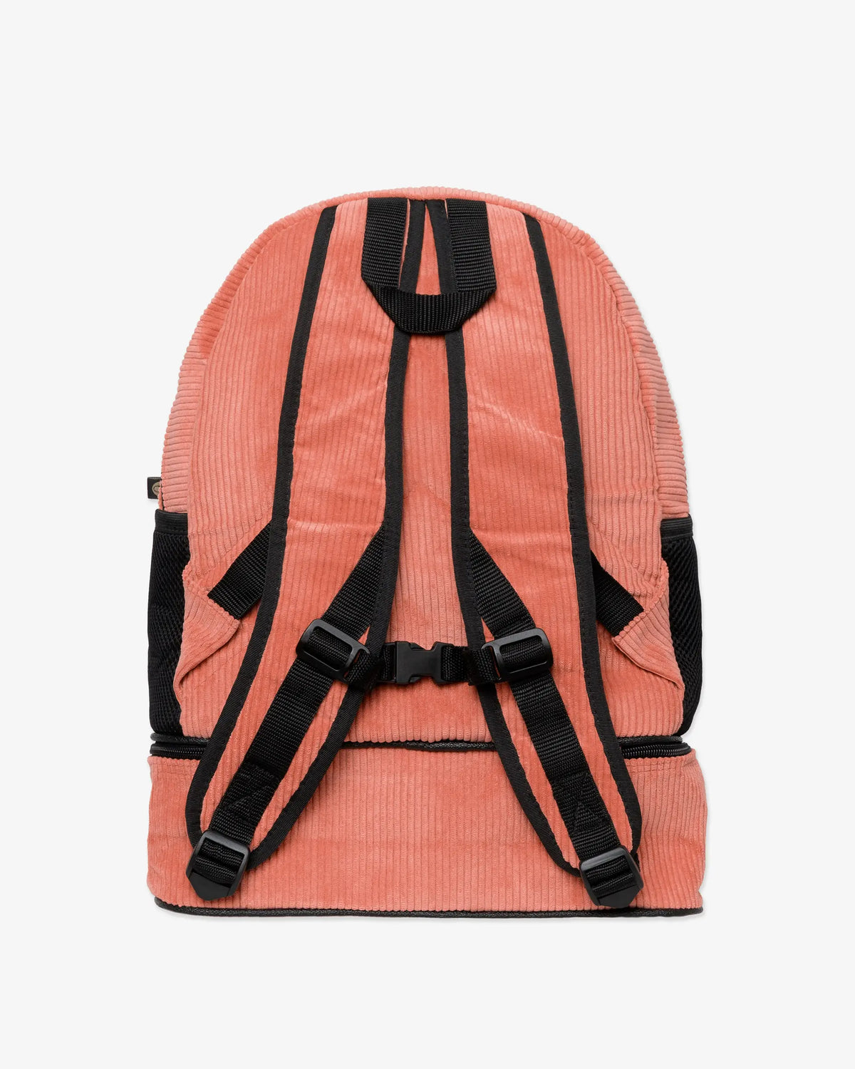 #color_salmon