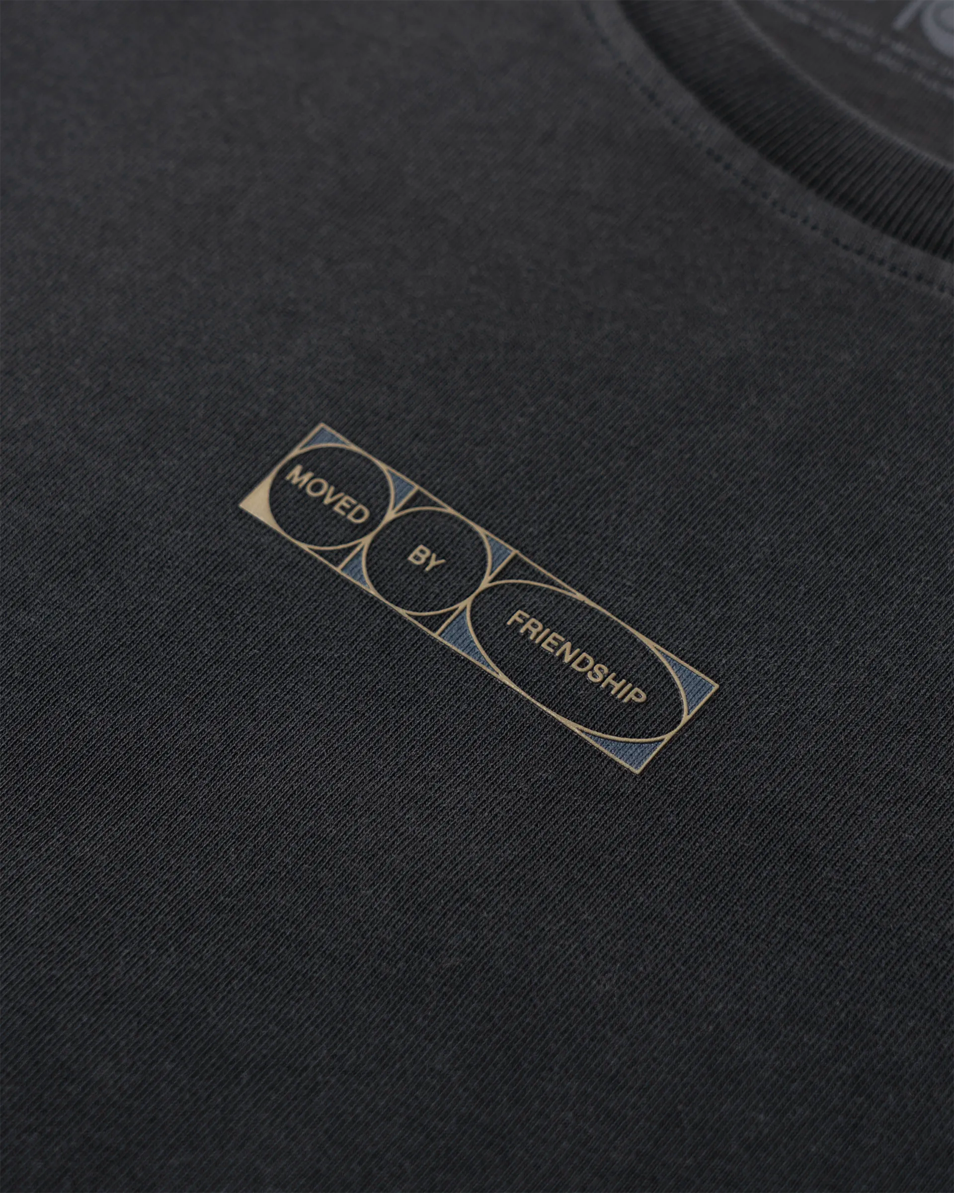Lion T-Shirt
