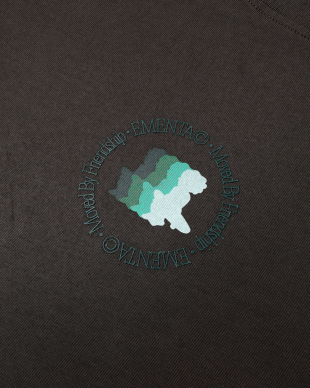 Friendship Birth T-shirt