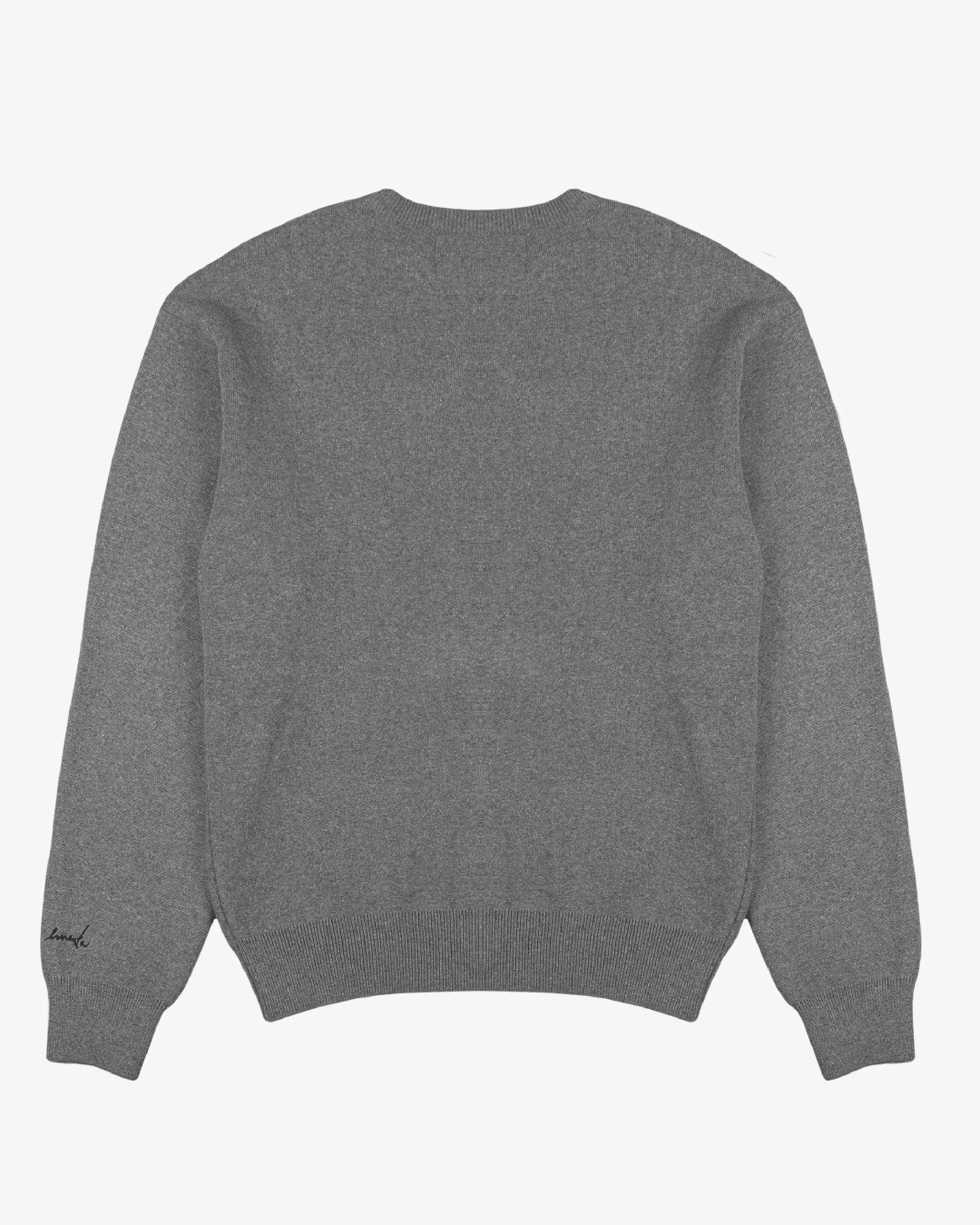 Big Ikon Knit Crewneck