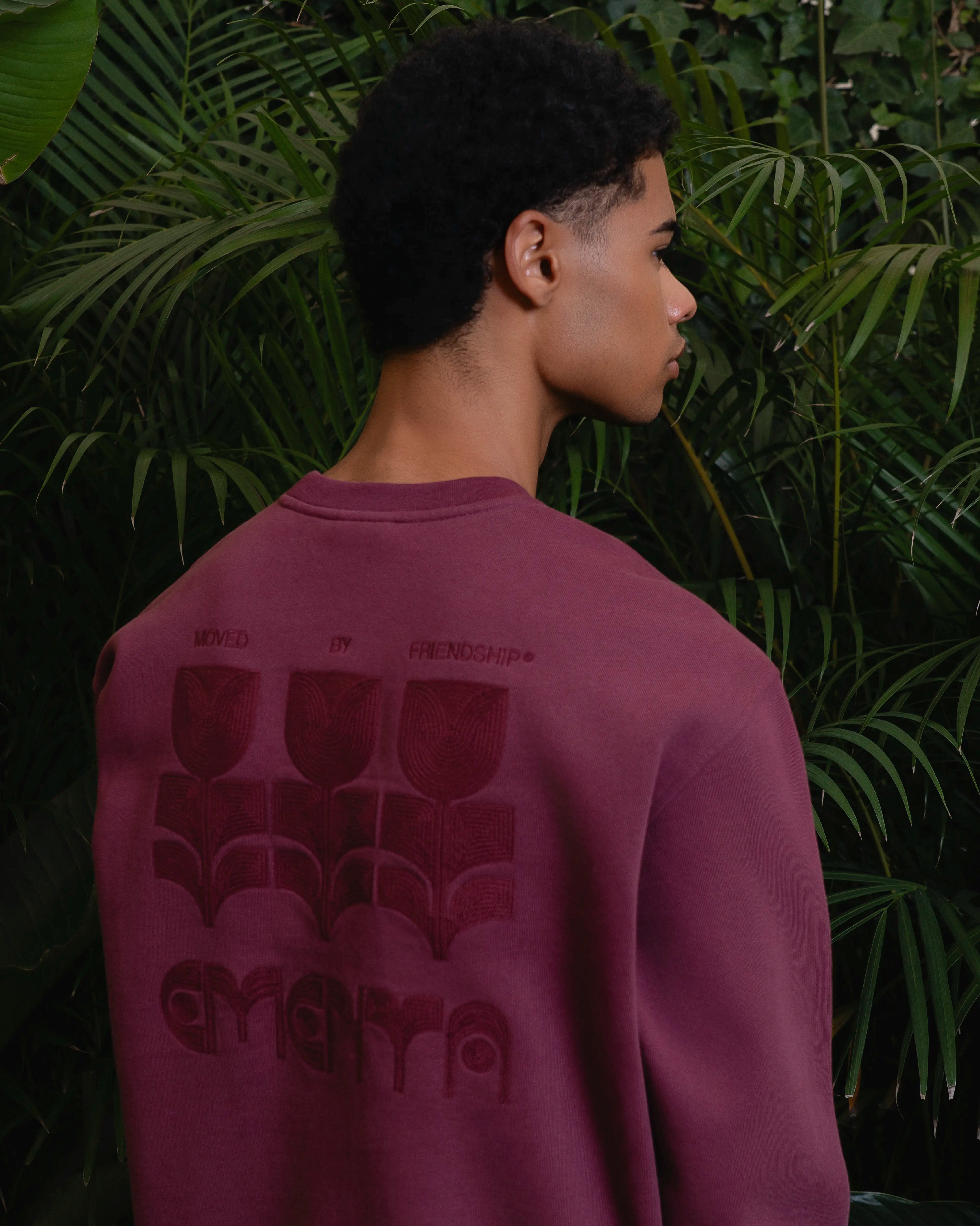 #color_burgundy