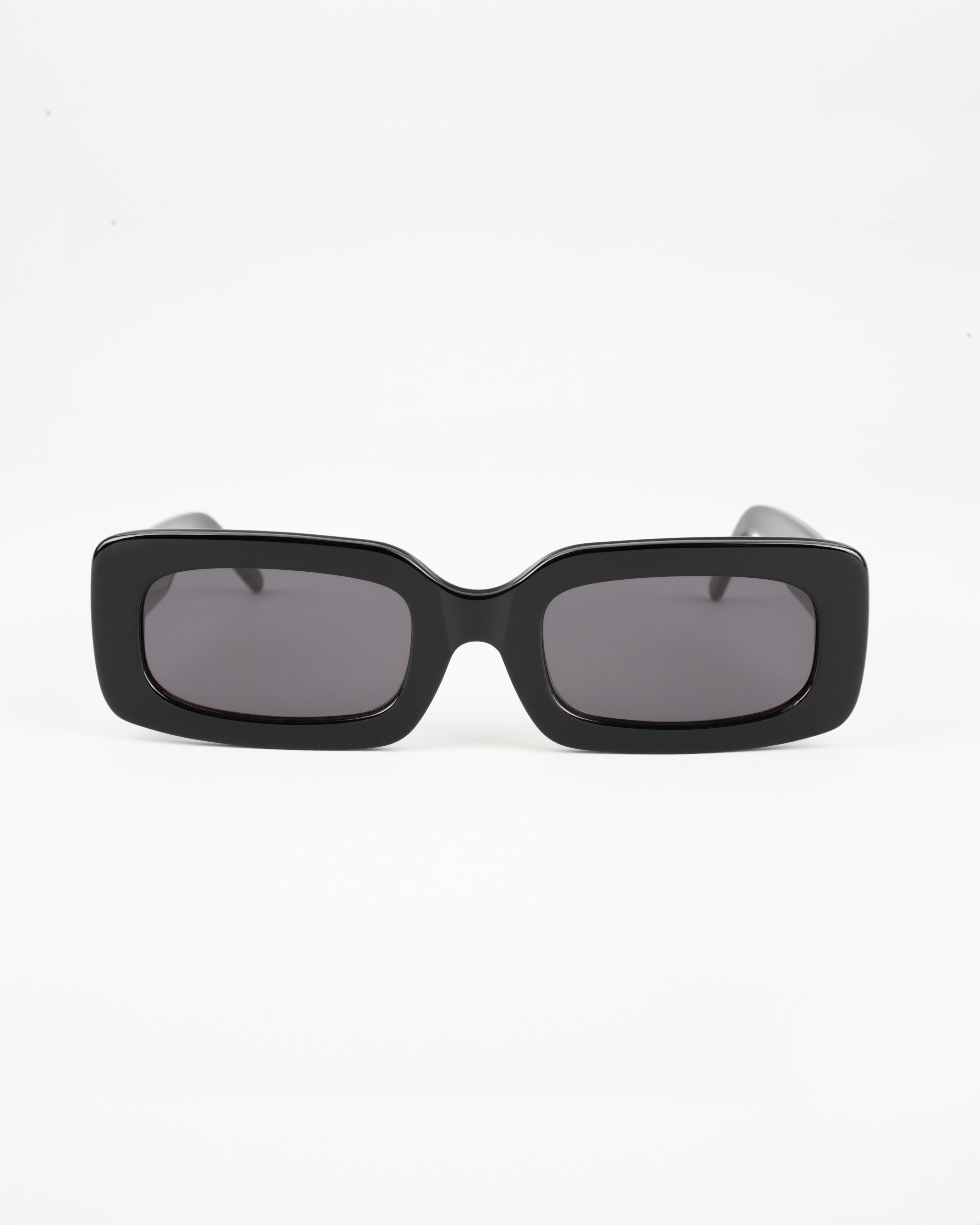 Anibal Sunglasses Black Polished