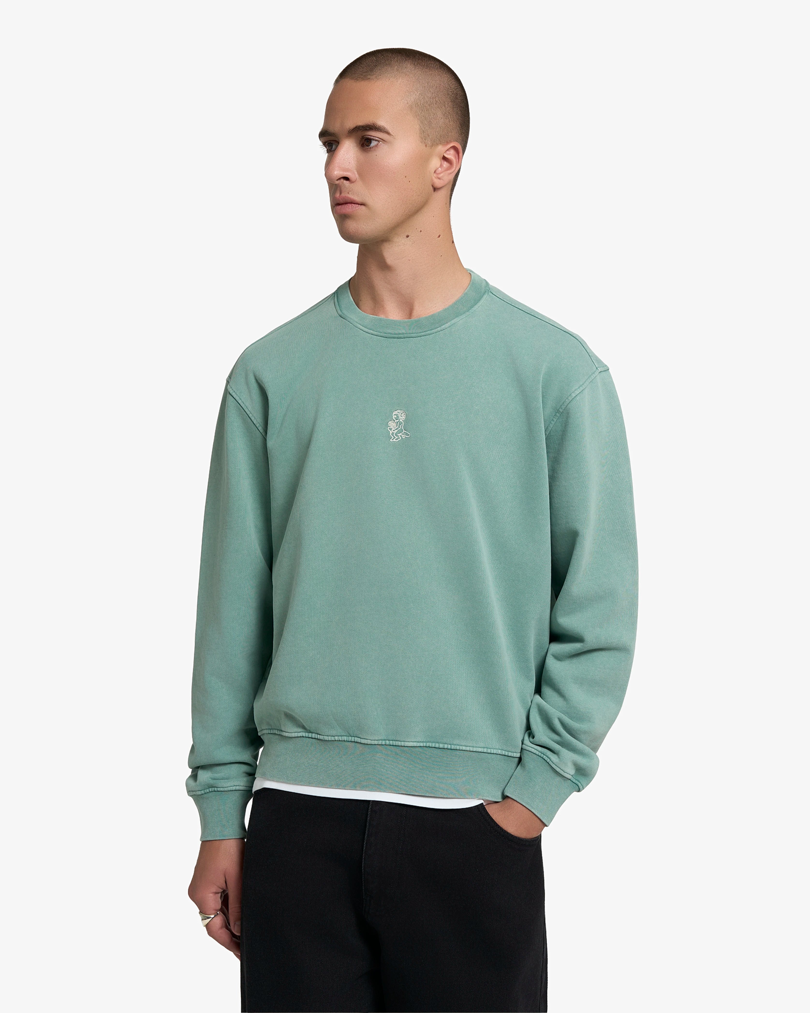 #color_desert sage washed