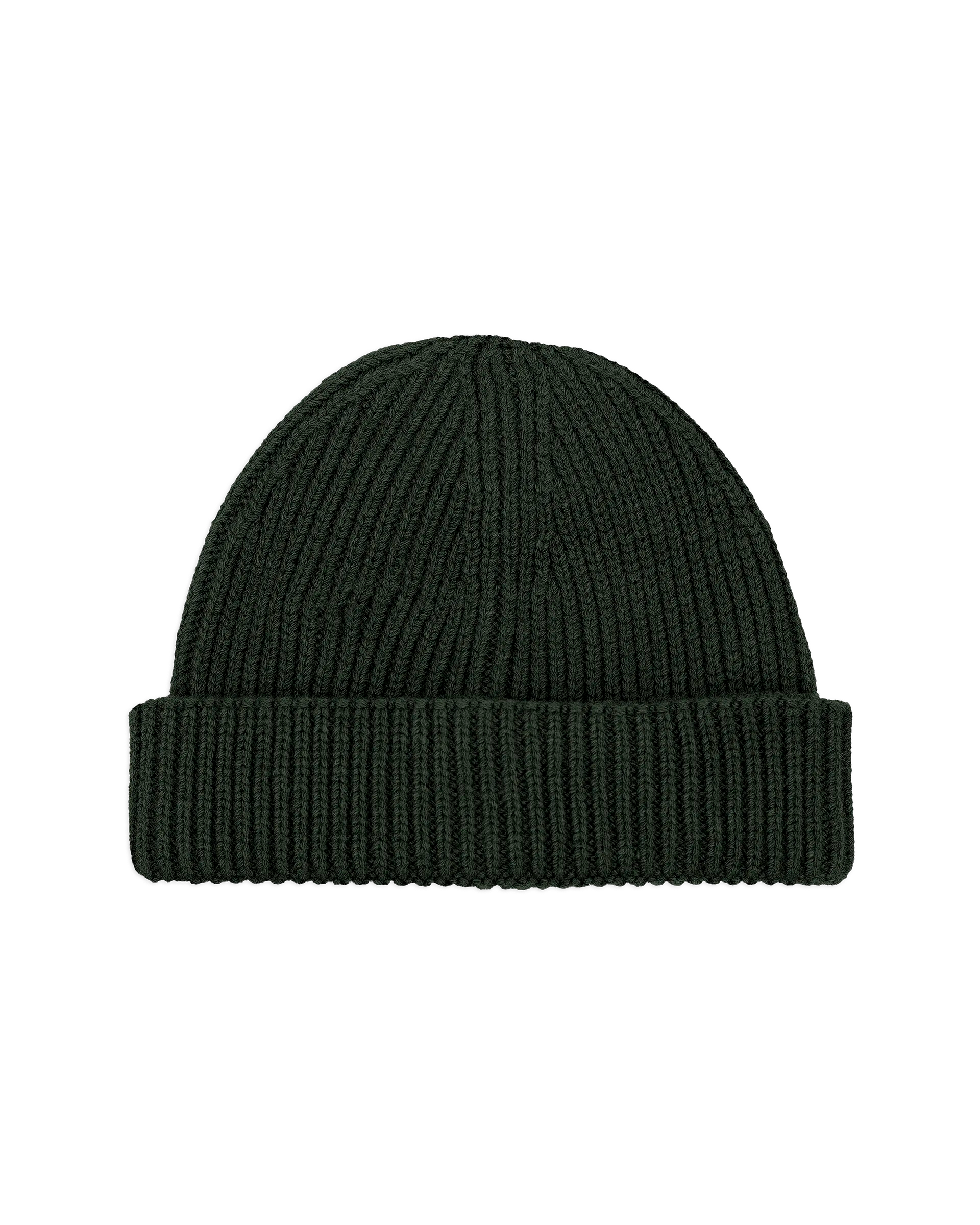 #color_olive green
