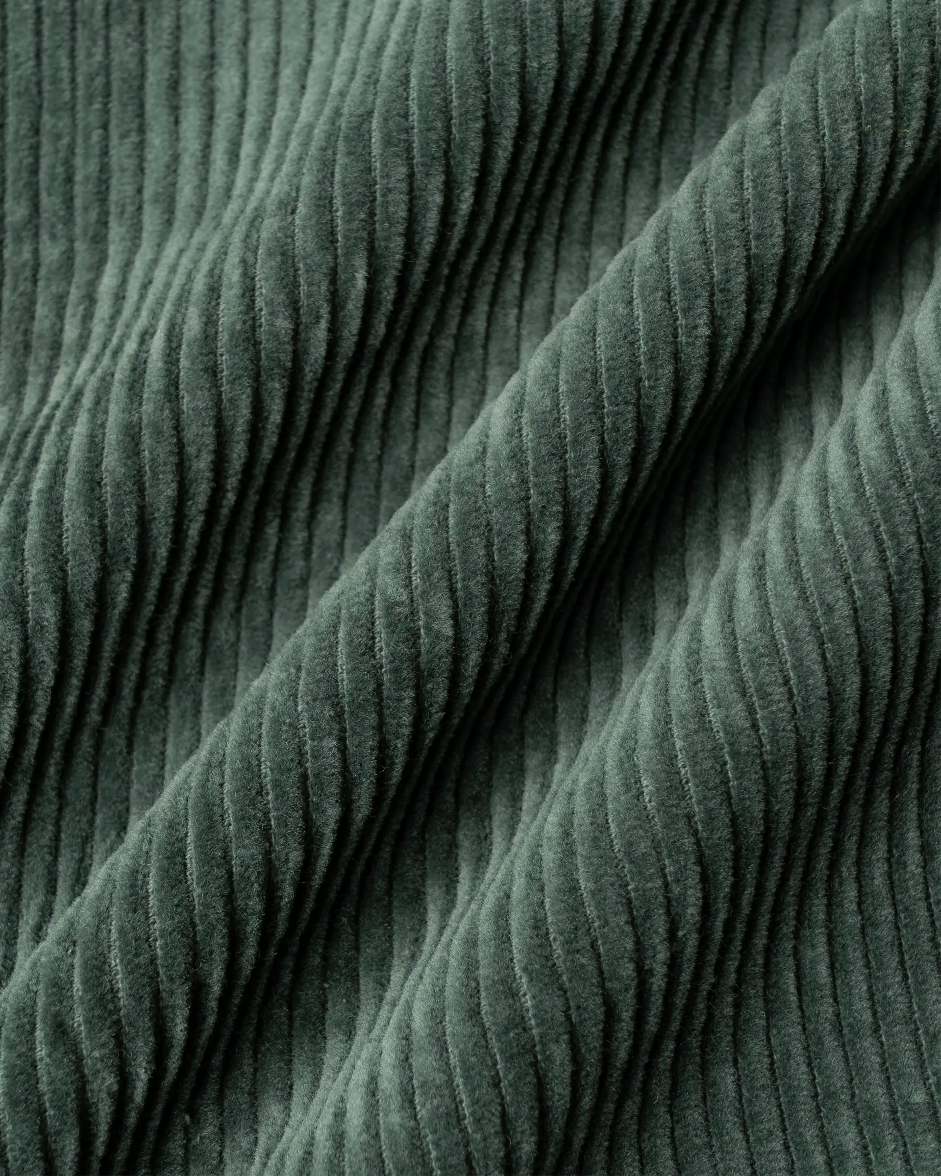 #color_olive green