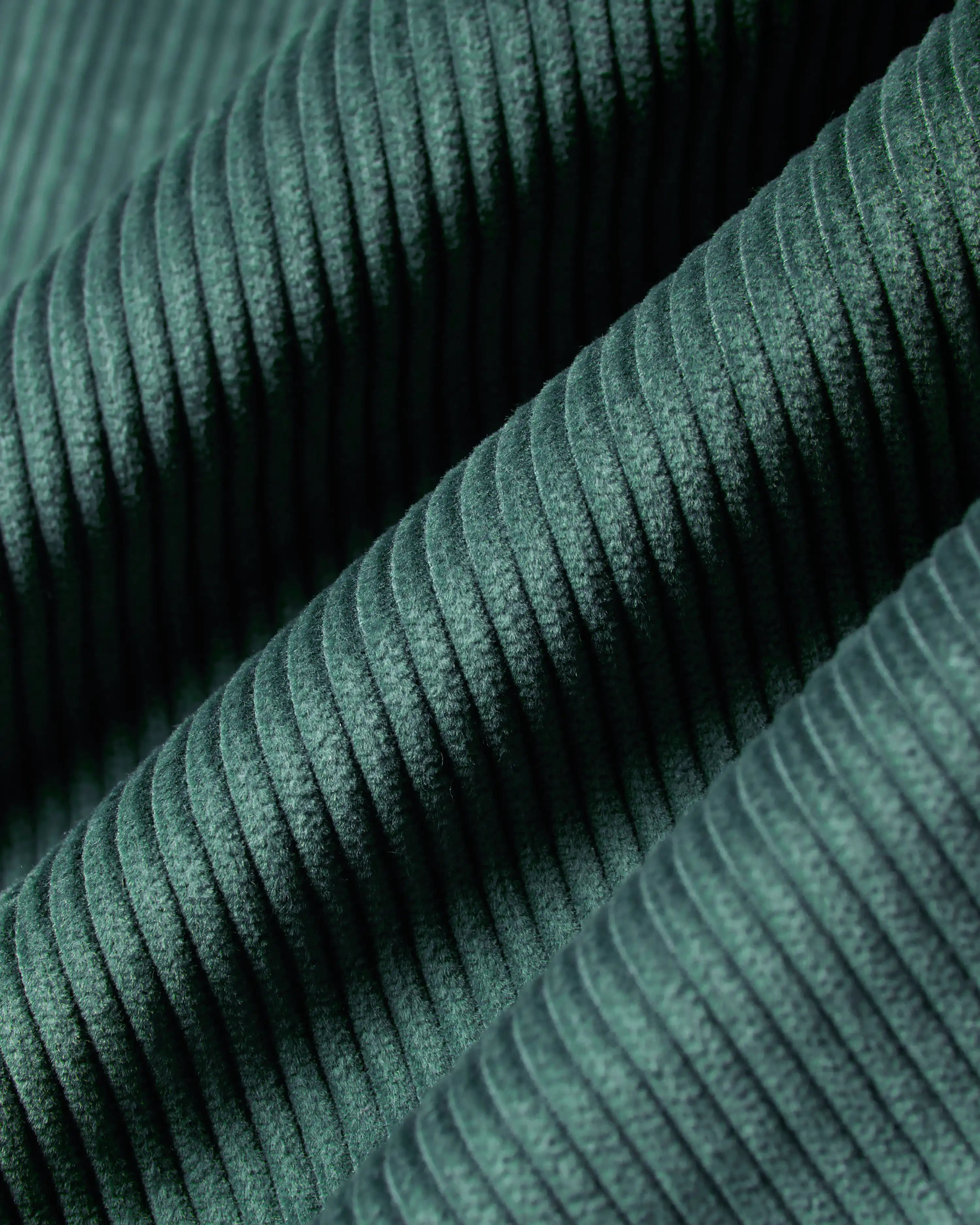 #color_forest green