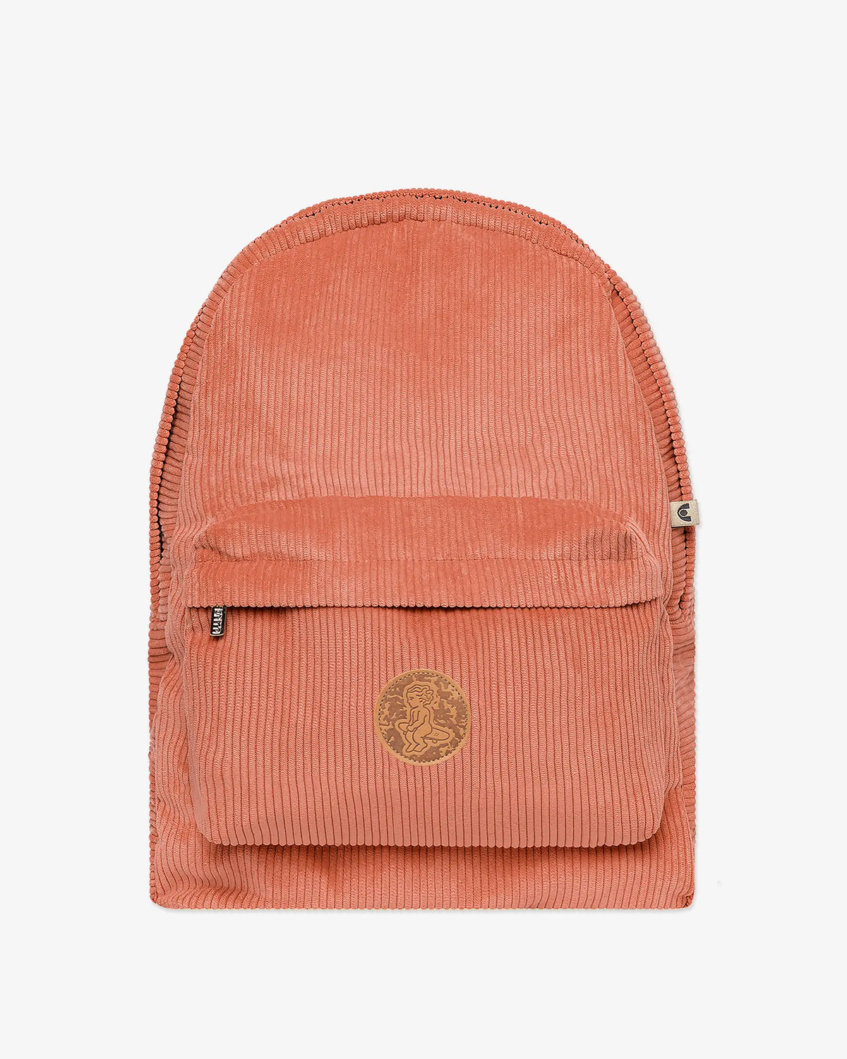 #color_salmon