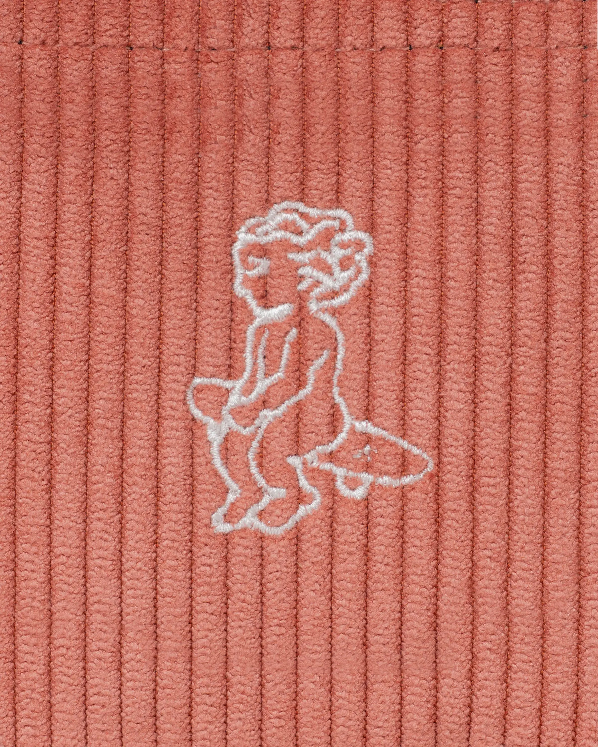 #color_salmon
