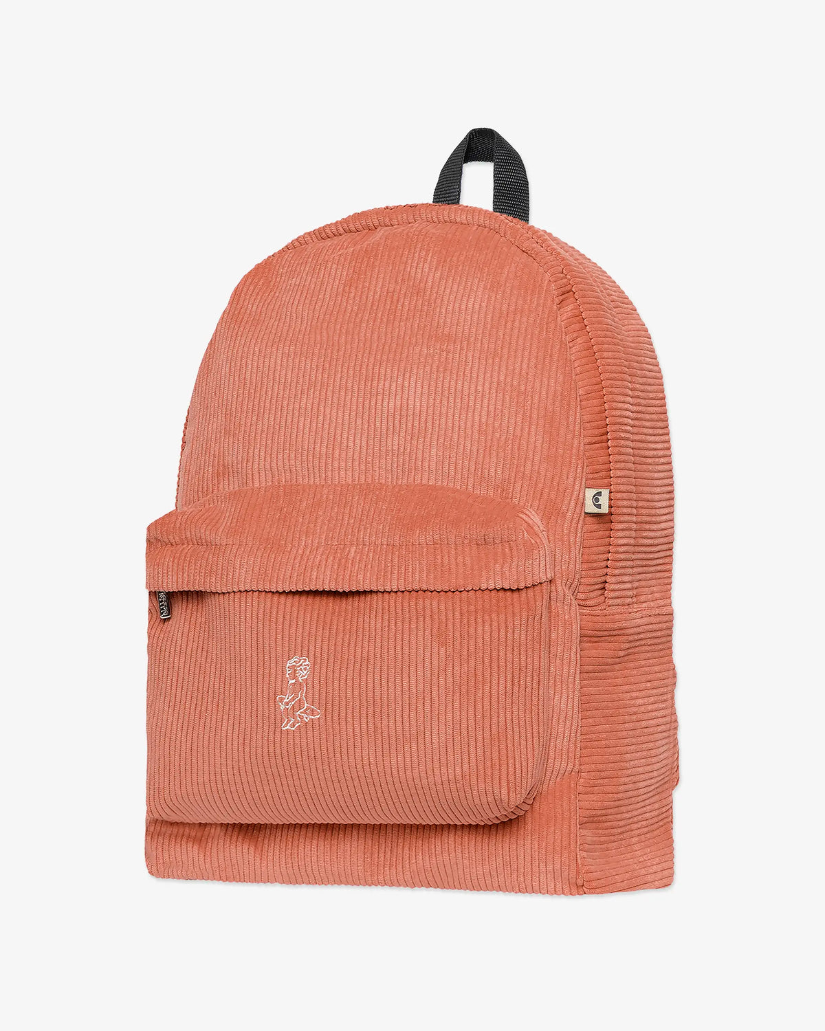 #color_salmon