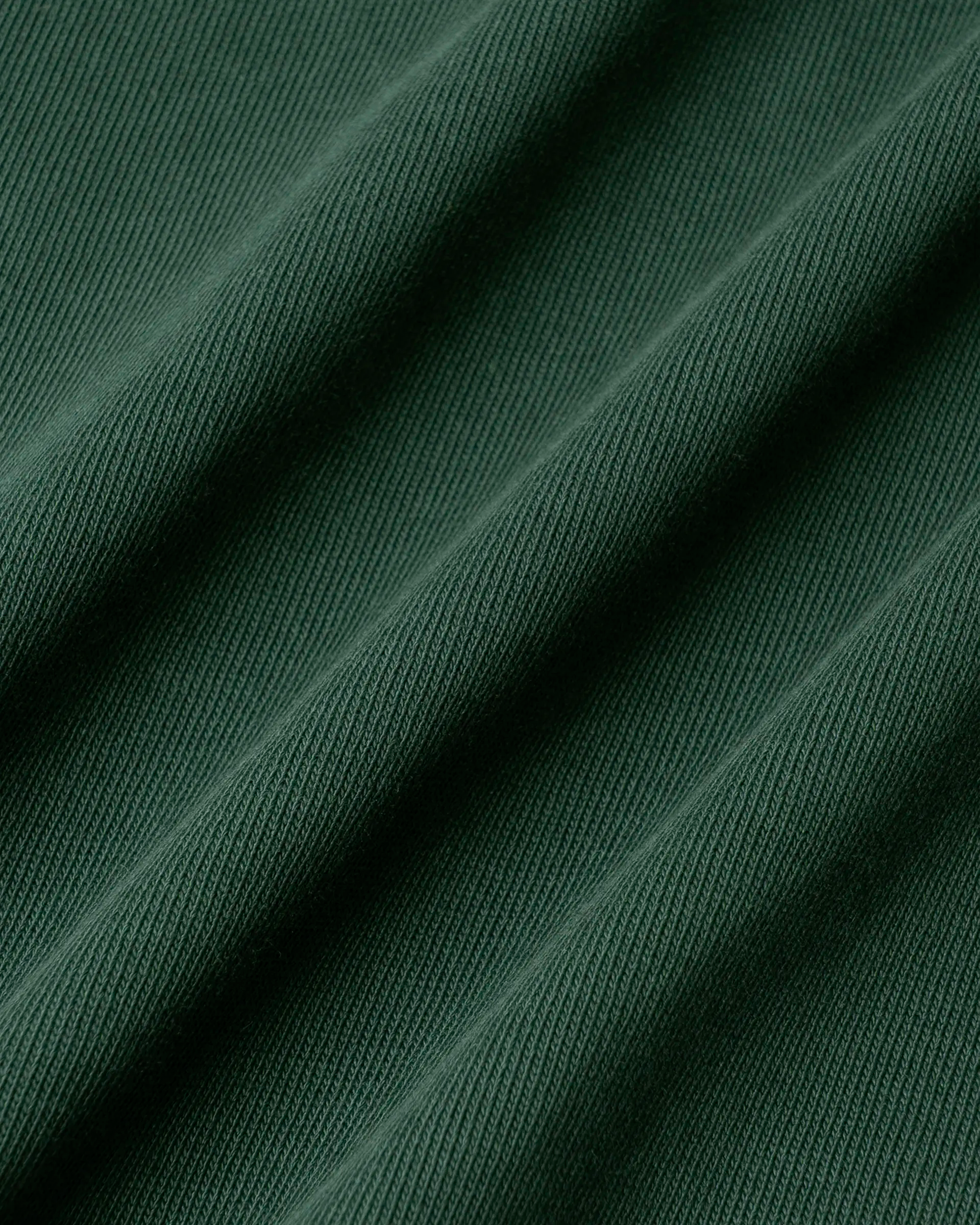 #color_evergreen