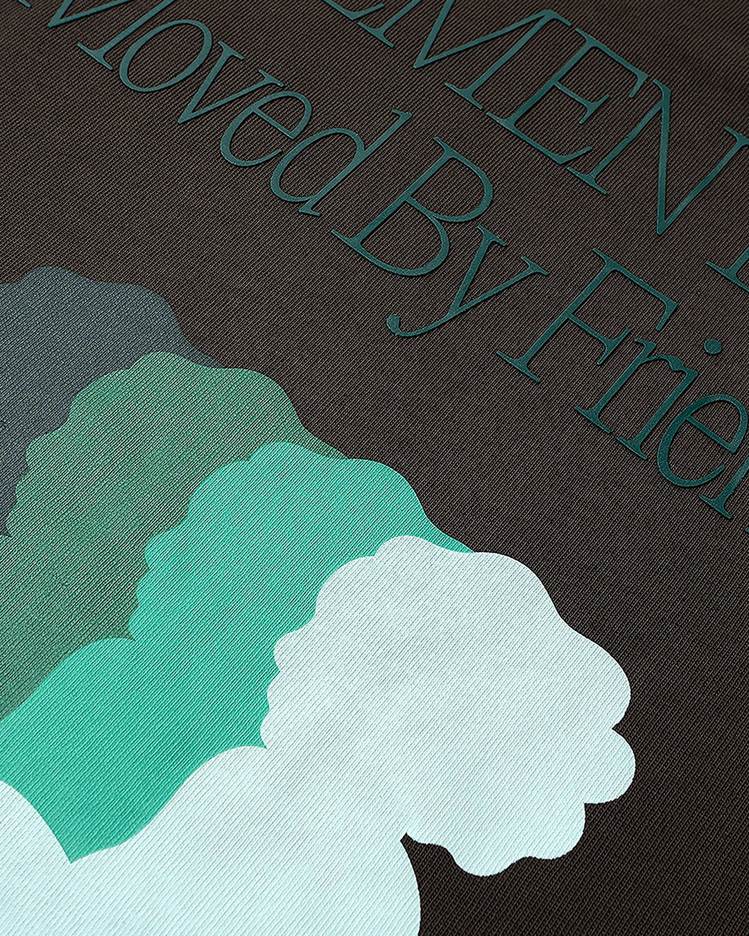 Friendship Birth T-shirt