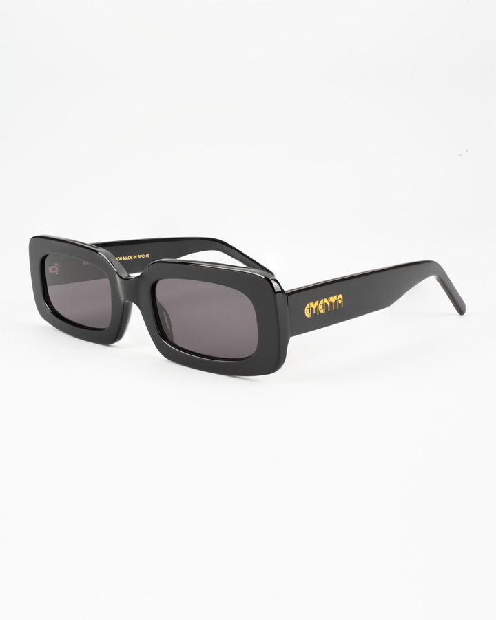 Anibal Sunglasses Black Polished