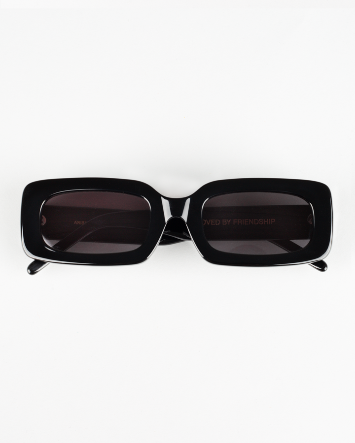 Anibal Sunglasses Black Polished